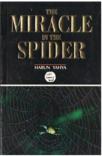 The miracle in the spider