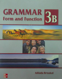 Grammar form and function 3B