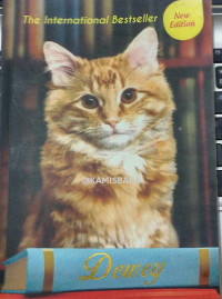 Dewey: Kucing Perpustakaan Kota Kucil yang Bikin Dunia Jatuh Hati